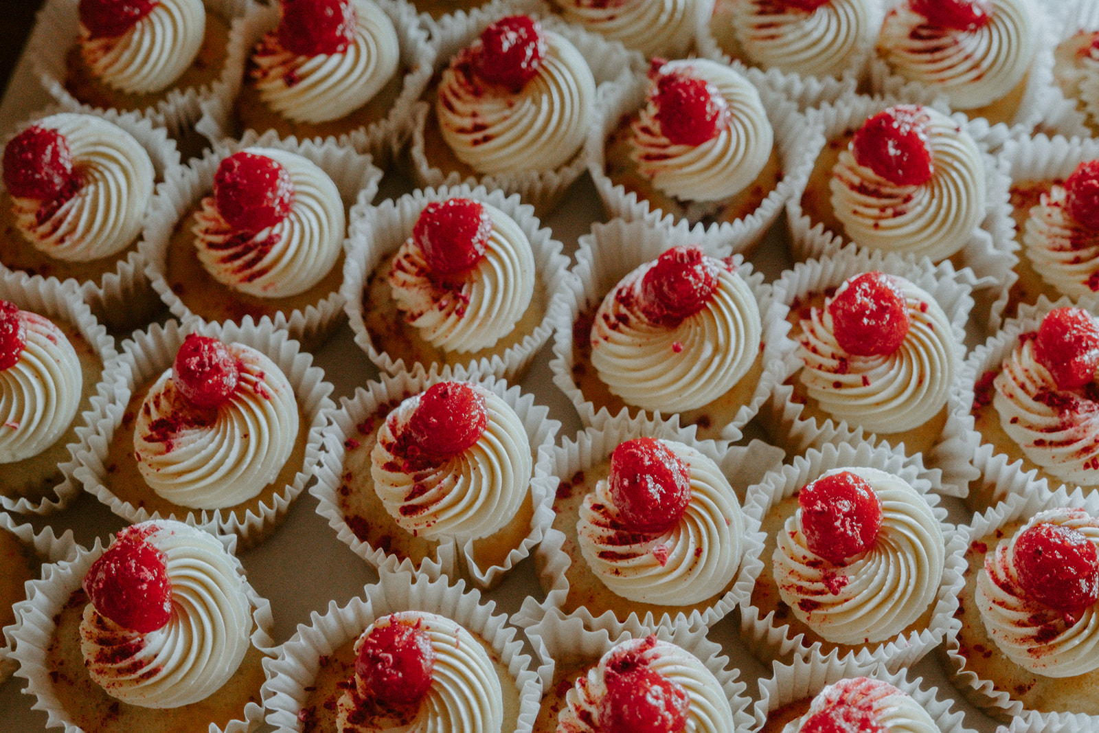 Berry Cupcakes - Zotti Photography